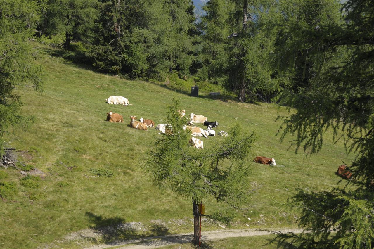 Chaletdorf-Fanningberg Weisspriach Eksteriør bilde