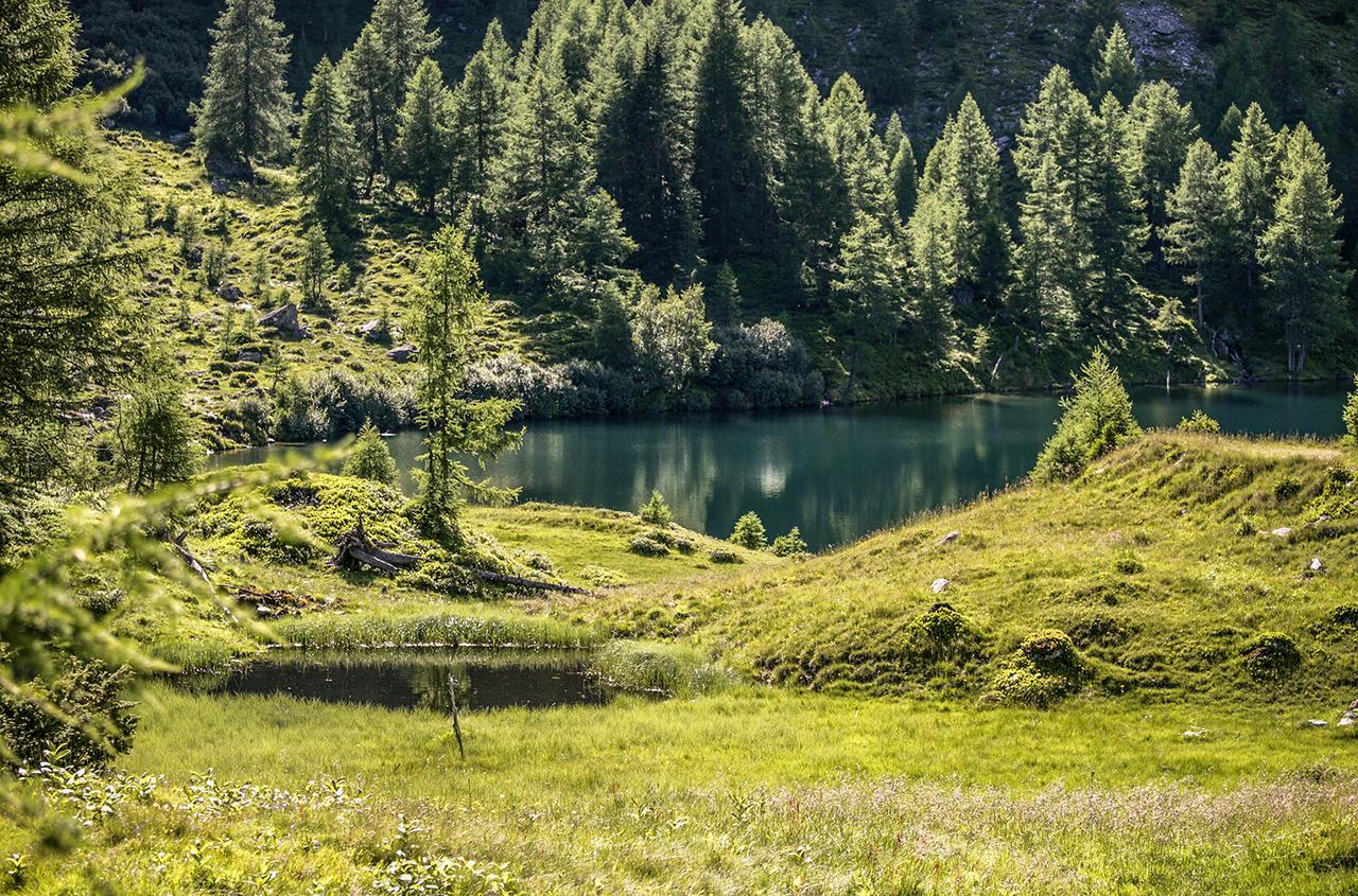 Chaletdorf-Fanningberg Weisspriach Eksteriør bilde